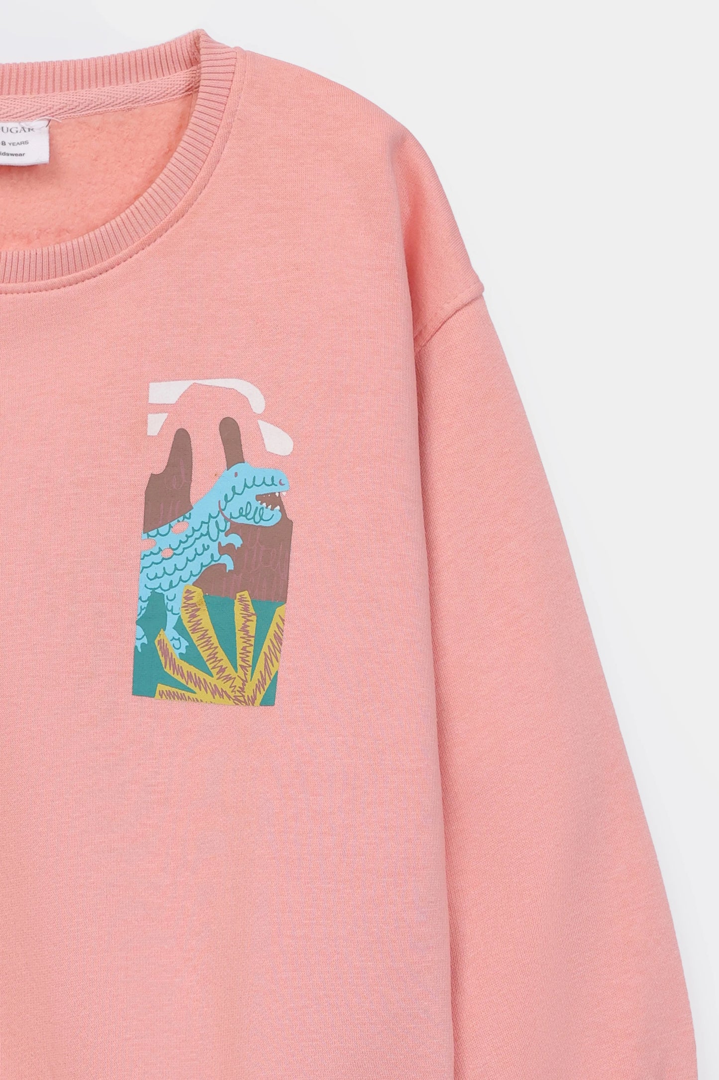 Dino Adventure Sweatshirt - Cougar Clothing