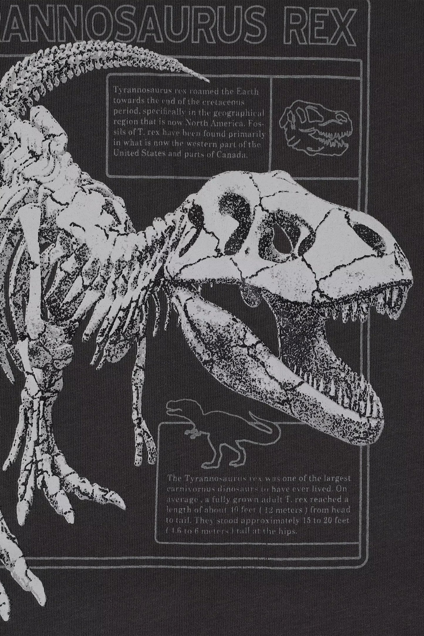 Character Graphic T-Shirt - Cougar Clothing