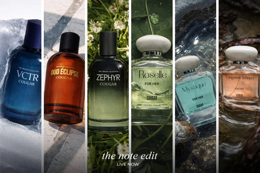Best Perfume for Men & Women