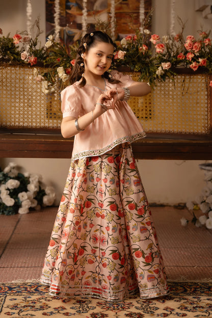 Raw Silk Lehenga Choli Set - Cougar Clothing