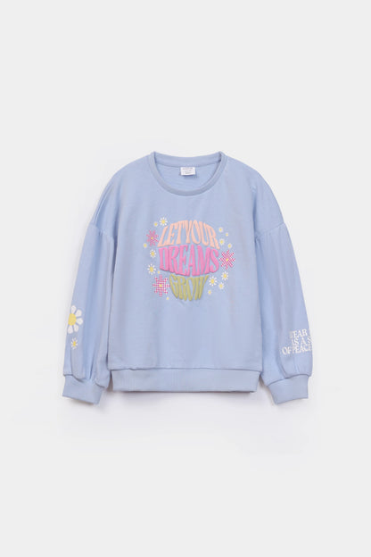 Puff Print Sweatshirt - Cougar Clothing