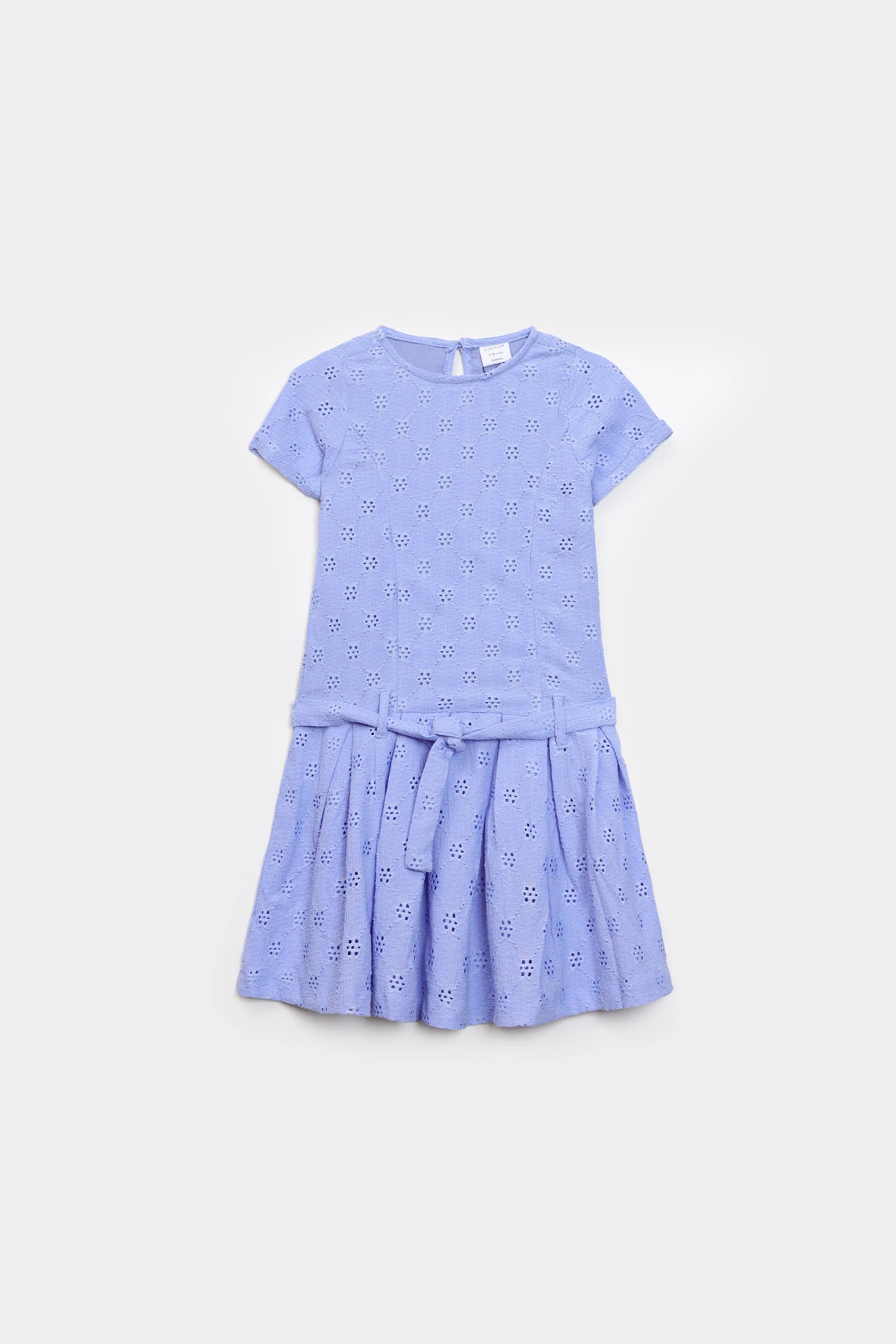 Schiffli Net Dress - Cougar Clothing