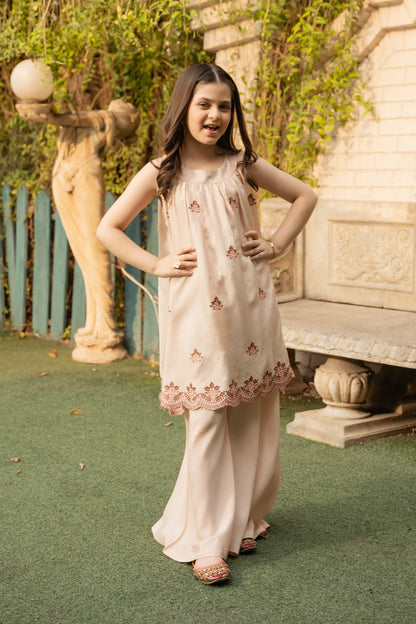 Embroidered Sharara Set - Cougar Clothing