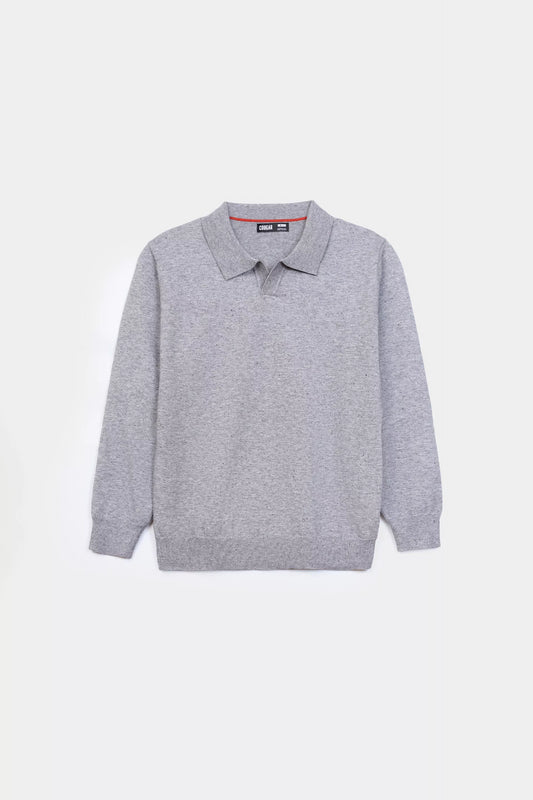 Textured Polo Sweater - Cougar Clothing