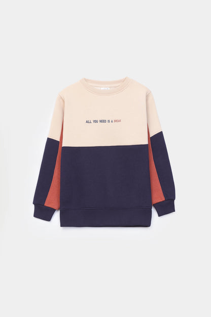 Color Block Fleece Sweatshirt - Cougar Clothing