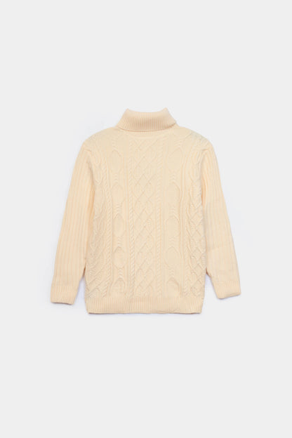 Textured Knit Roll Neck Sweater - Cougar Clothing