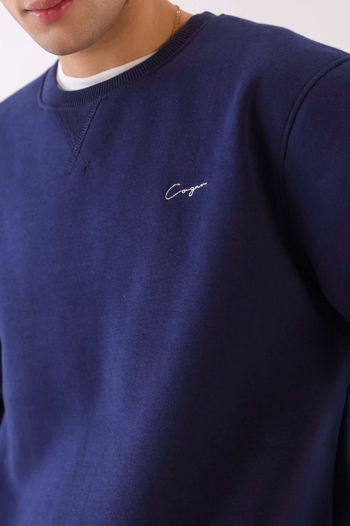 Brushed-Inside Hoodie - Cougar Clothing