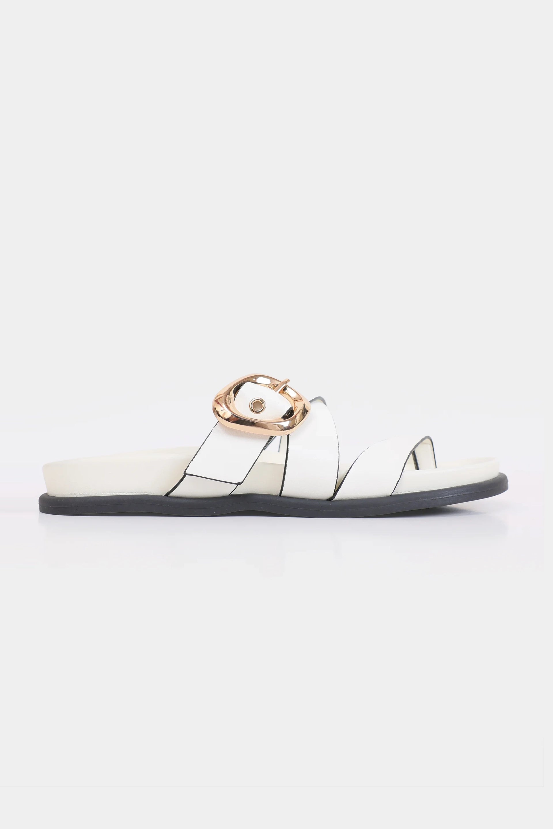 Thong Slides - Cougar Clothing