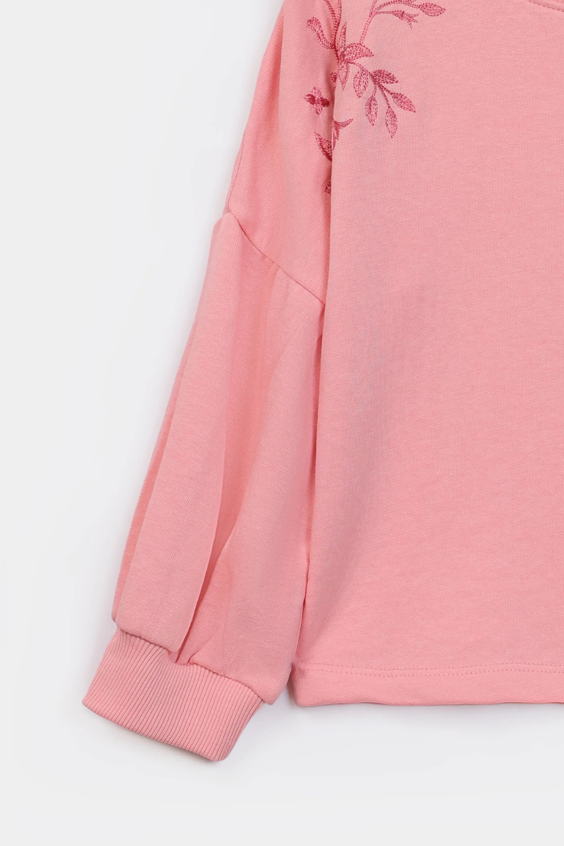 Balloon Sleeved Embroidered Sweatshirt - Cougar Clothing