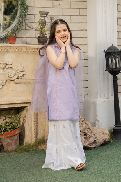 Embroidered Gharara Set - Cougar Clothing