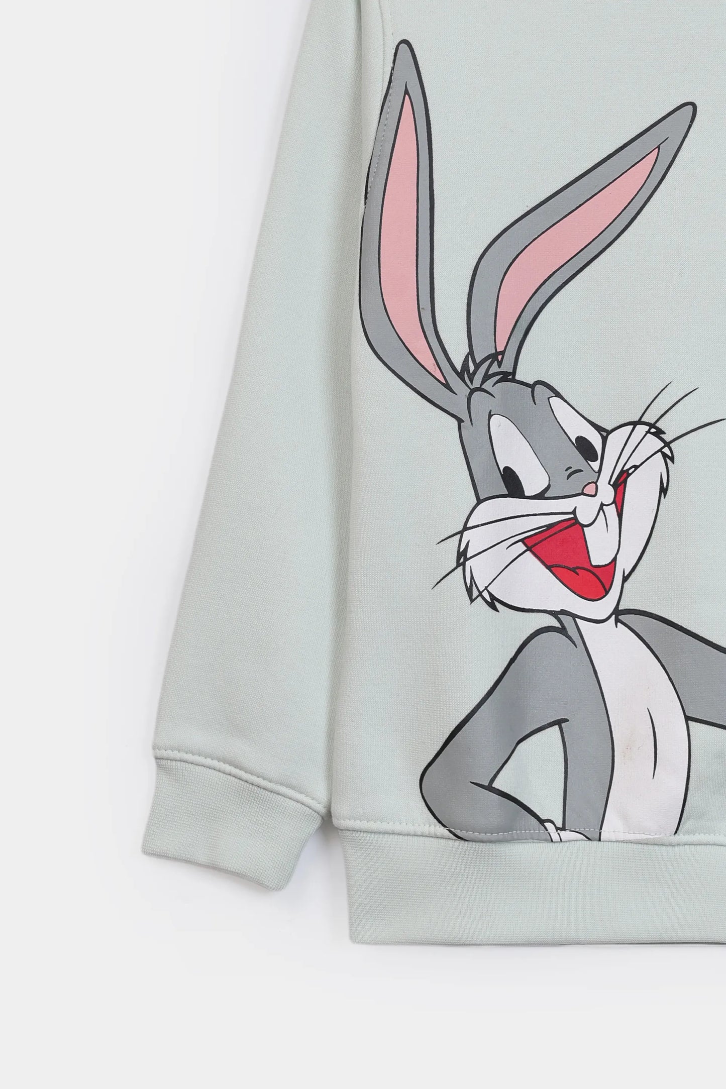 Character Graphic Sweatshirt - Cougar Clothing