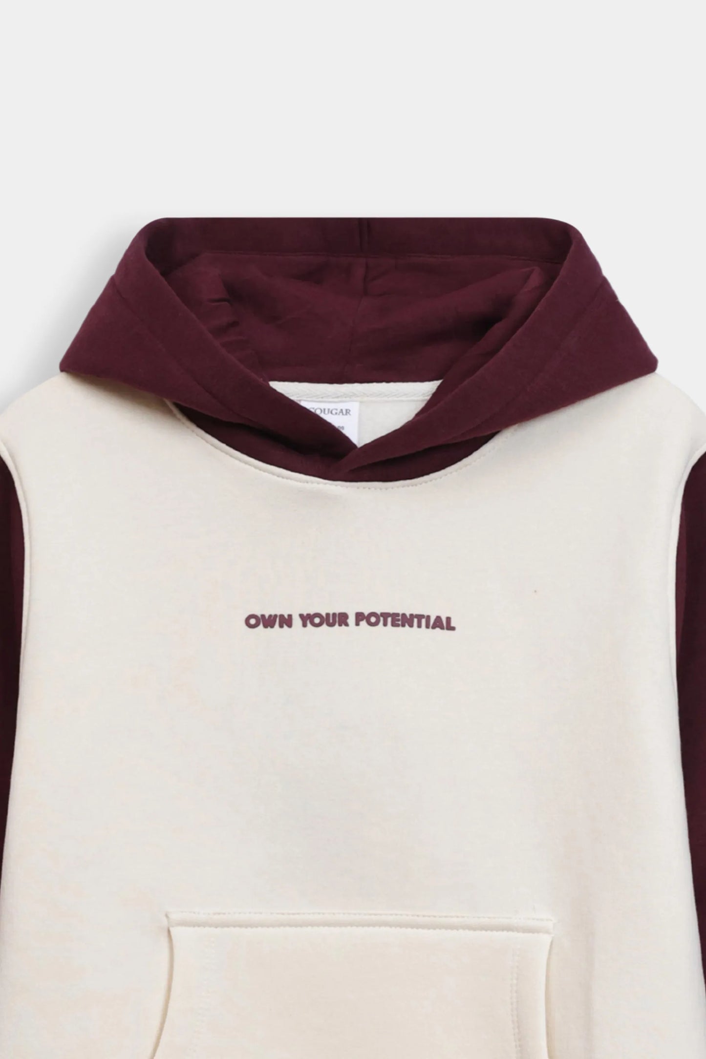 Color Block Hoodie - Cougar Clothing