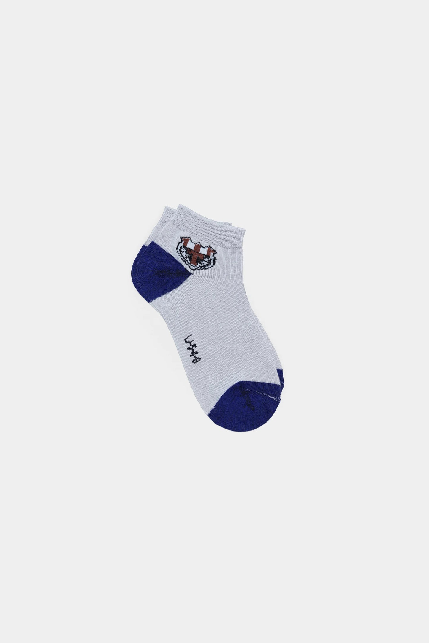 Color Block Socks - Cougar Clothing
