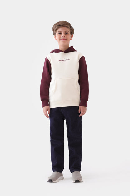 Color Block Hoodie - Cougar Clothing