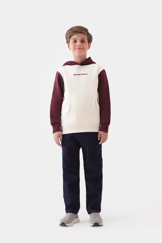 Color Block Hoodie - Cougar Clothing