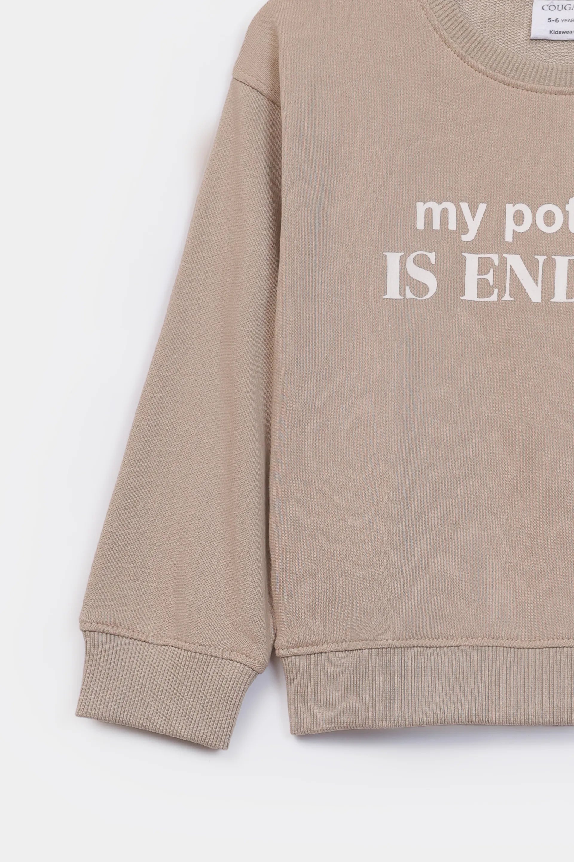 Endless Potential Sweatshirt - Cougar Clothing