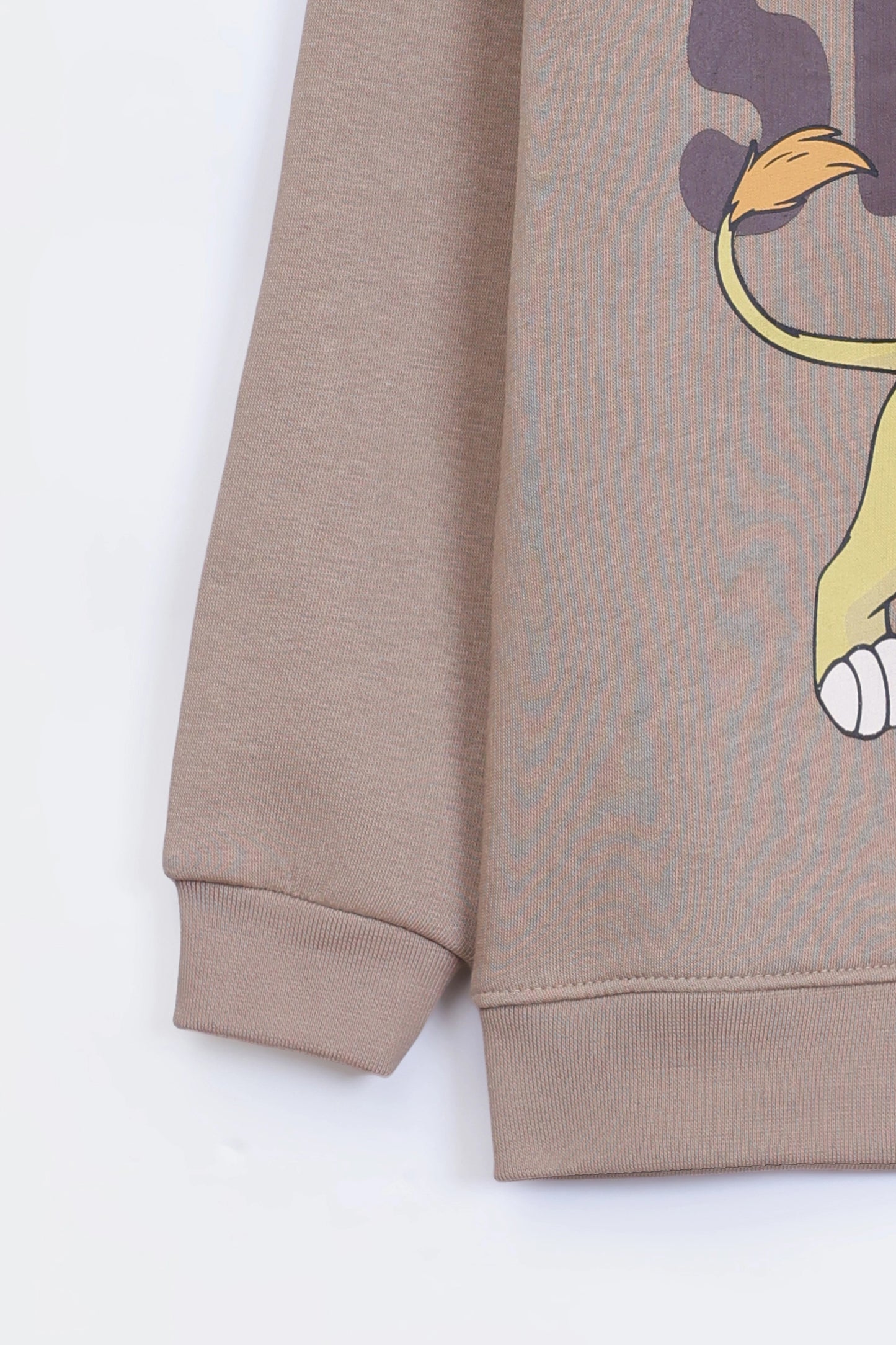 Character Print Pullover Hoodie - Cougar Clothing