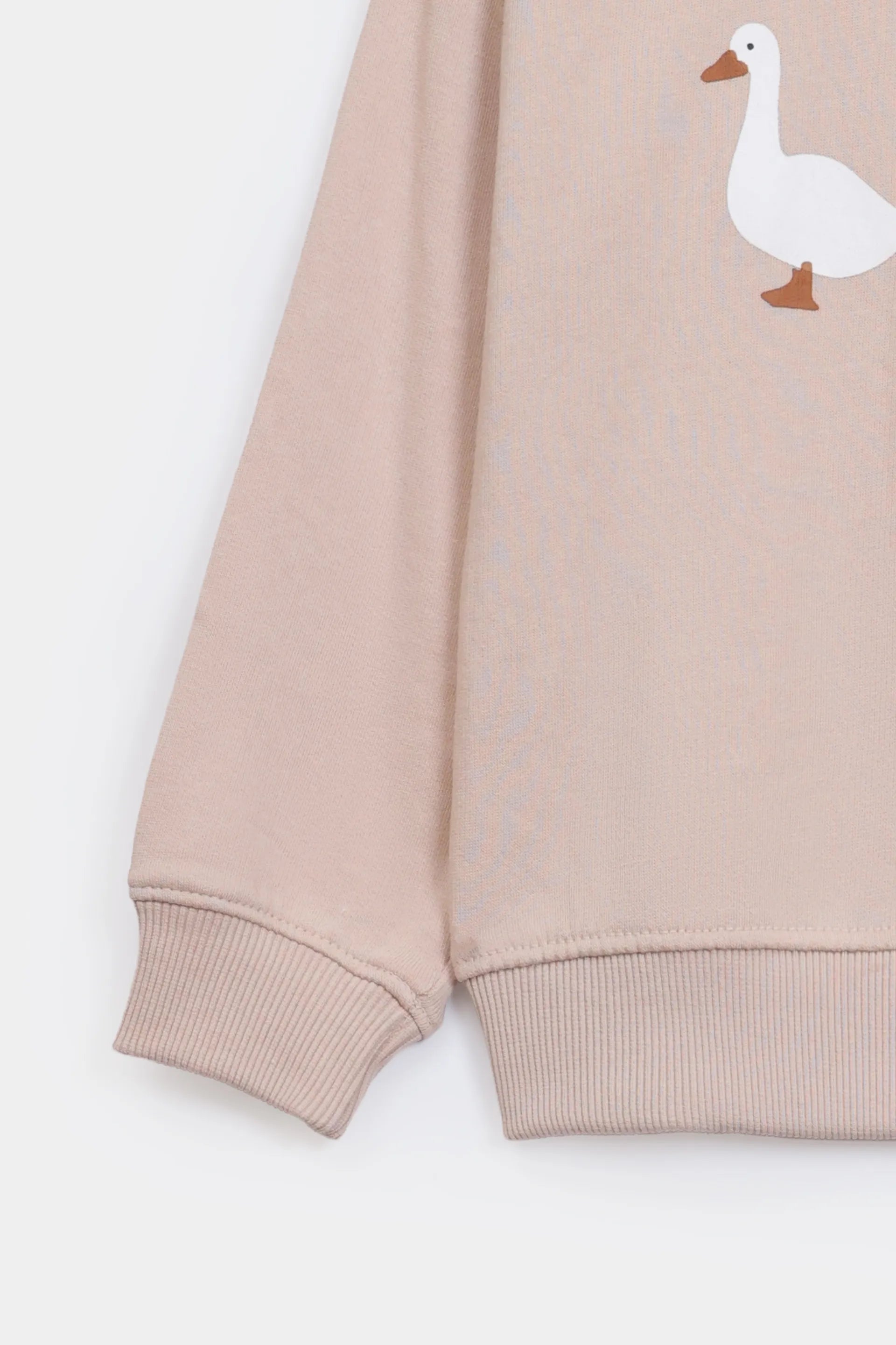 Goose-Family Graphic Sweatshirt - Cougar Clothing