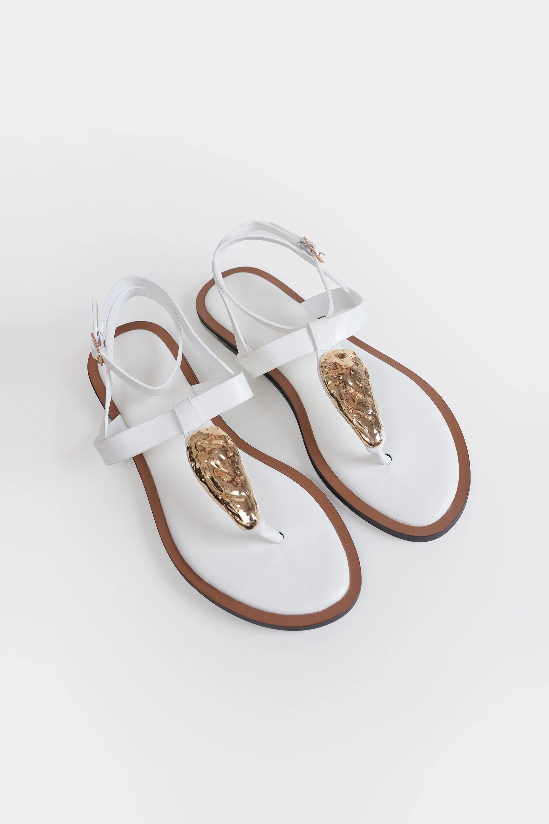 Flat Thong Sandals - Cougar Clothing