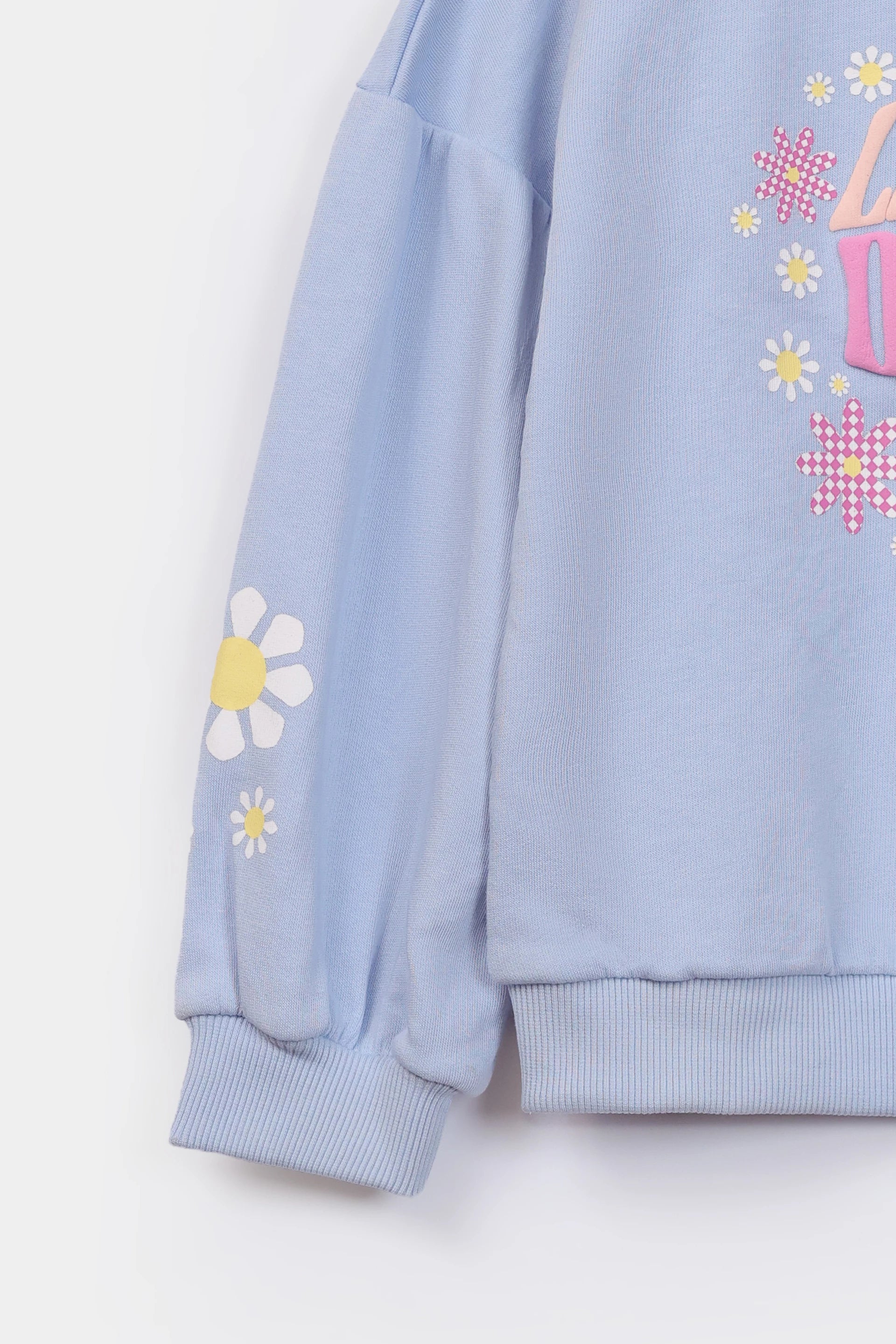 Puff Print Sweatshirt - Cougar Clothing