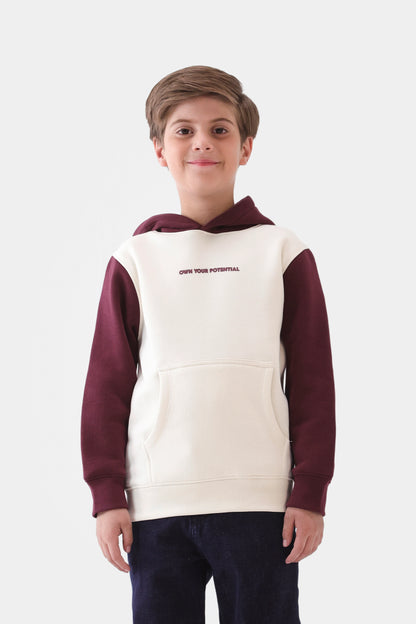 Color Block Hoodie - Cougar Clothing