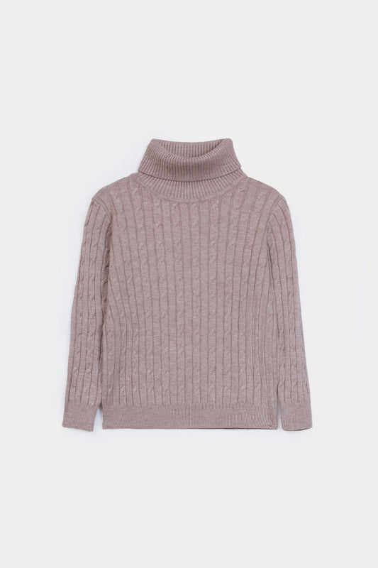 Roll Neck Cable Knit Sweater