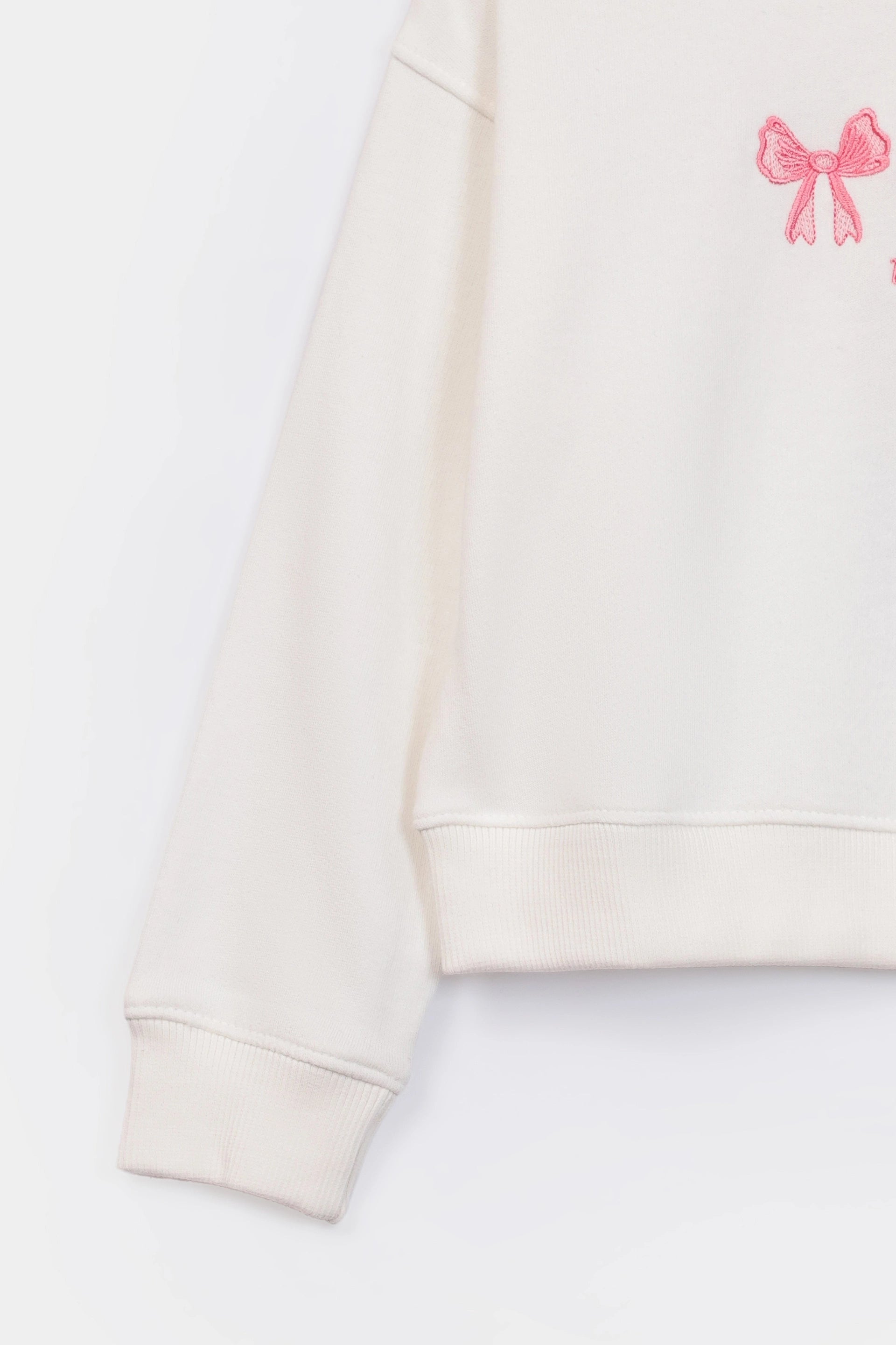 Embroidered Sweatshirt - Cougar Clothing