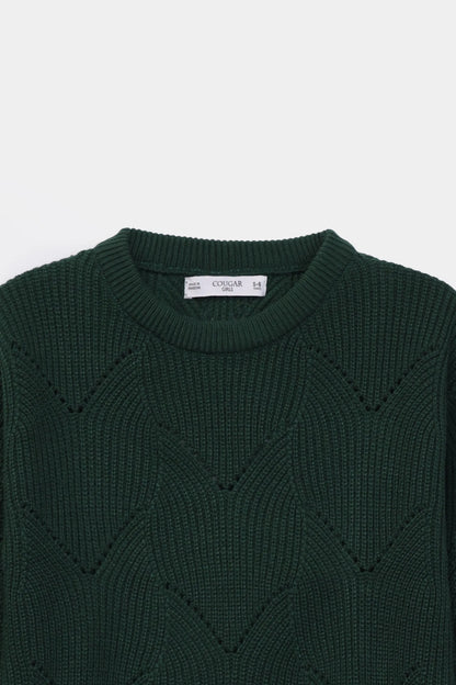 Knit Sweater - Cougar Clothing