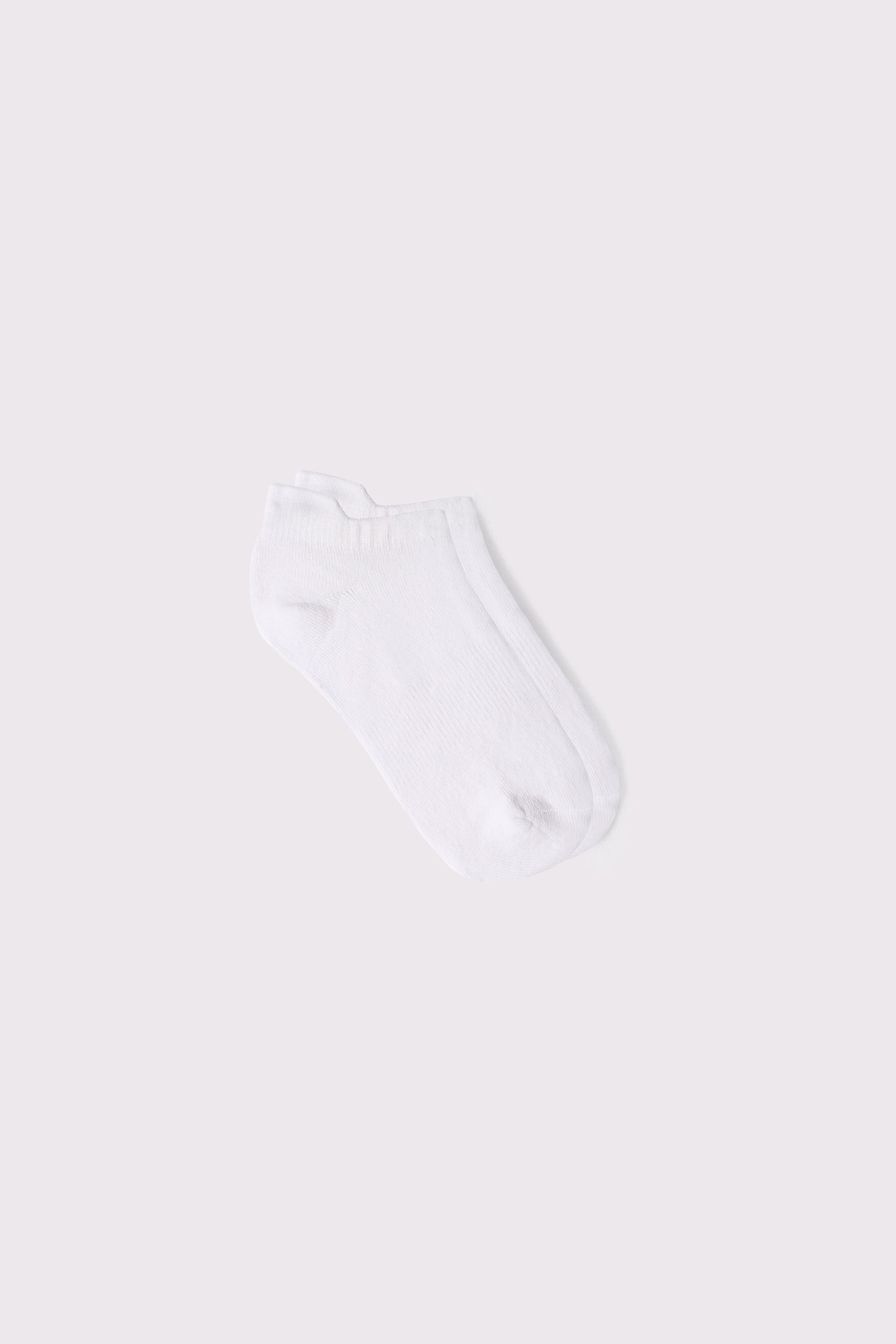 Pack of 3 No Show Socks - Cougar Clothing