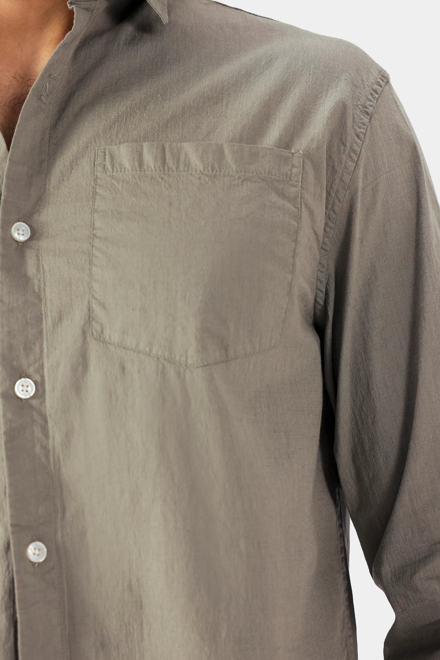 Basic Regular Shirt - Cougar Clothing