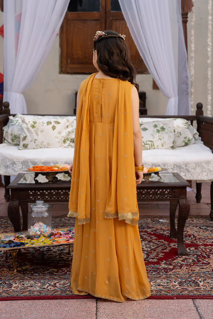 Chiffon Kalidar Set - Cougar Clothing