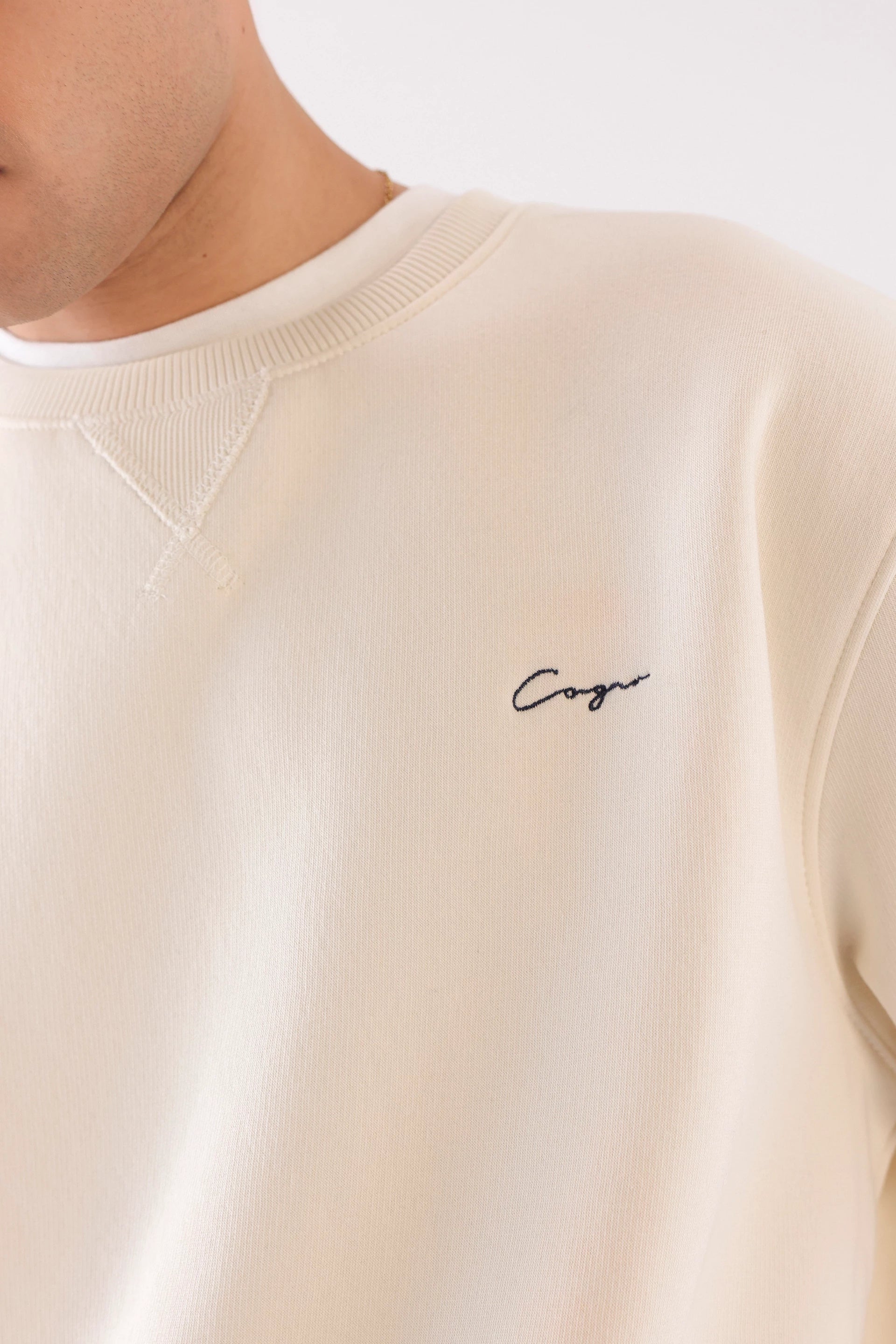 Brushed-Inside Hoodie - Cougar Clothing