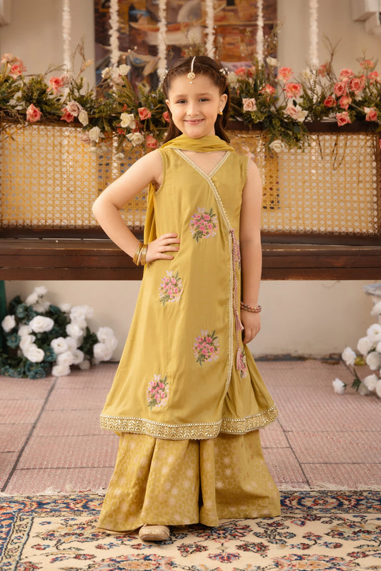 Embroidered Sharara Set - Cougar Clothing