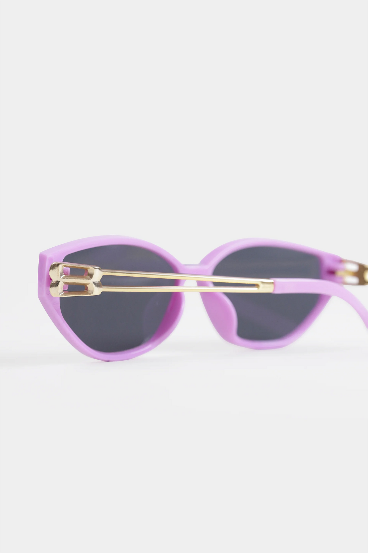 Sunglasses With Metallic Temple - Cougar Clothing
