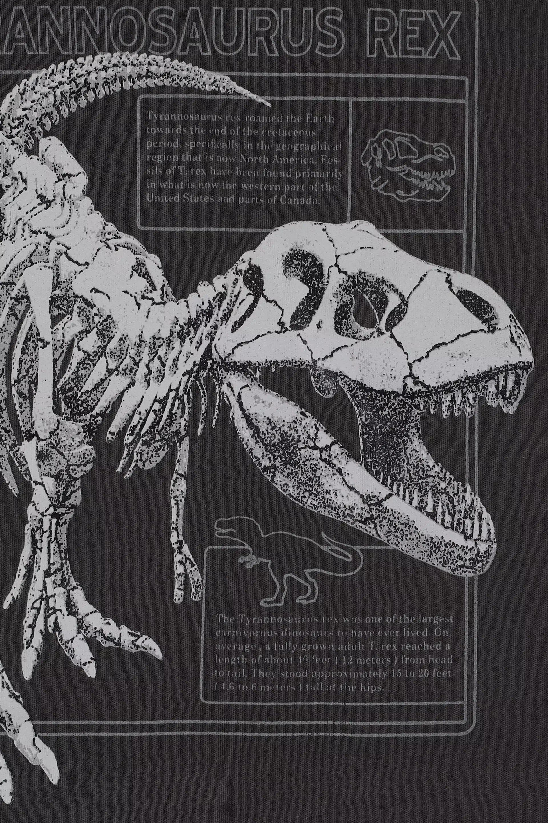 Character Graphic T-Shirt - Cougar Clothing