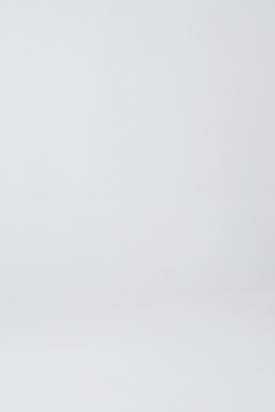 Charmeuse Silk Shirt - Cougar Clothing