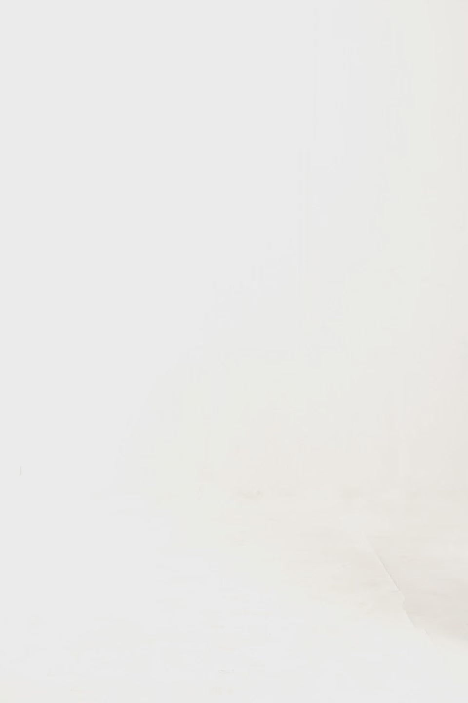 Text Print Hoodie - Cougar Clothing