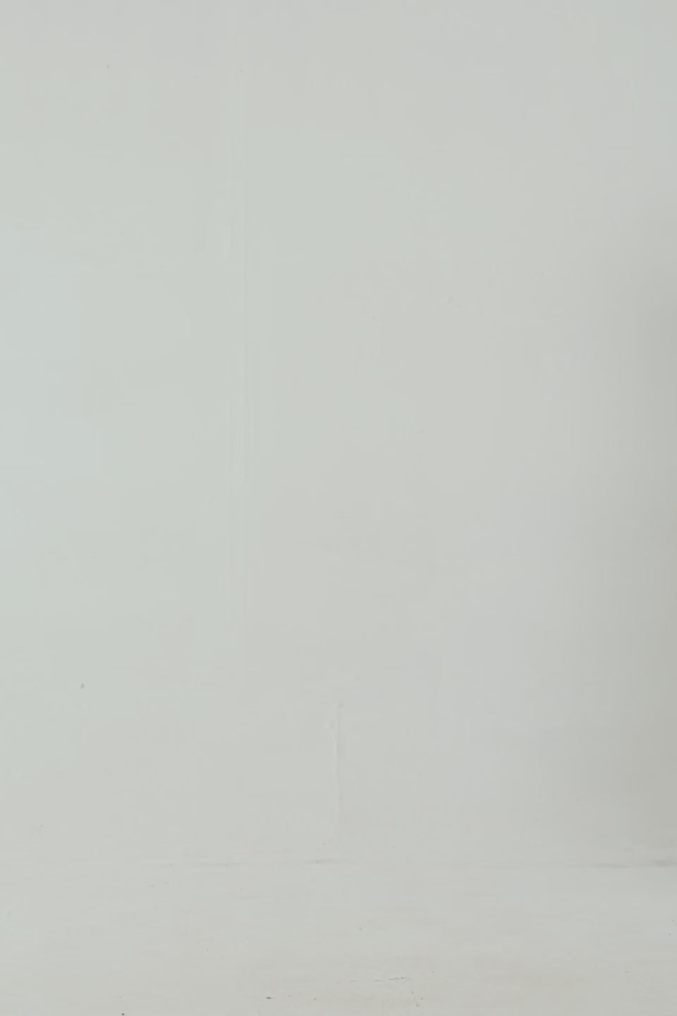 Cropped Sweatshirt - Cougar Clothing