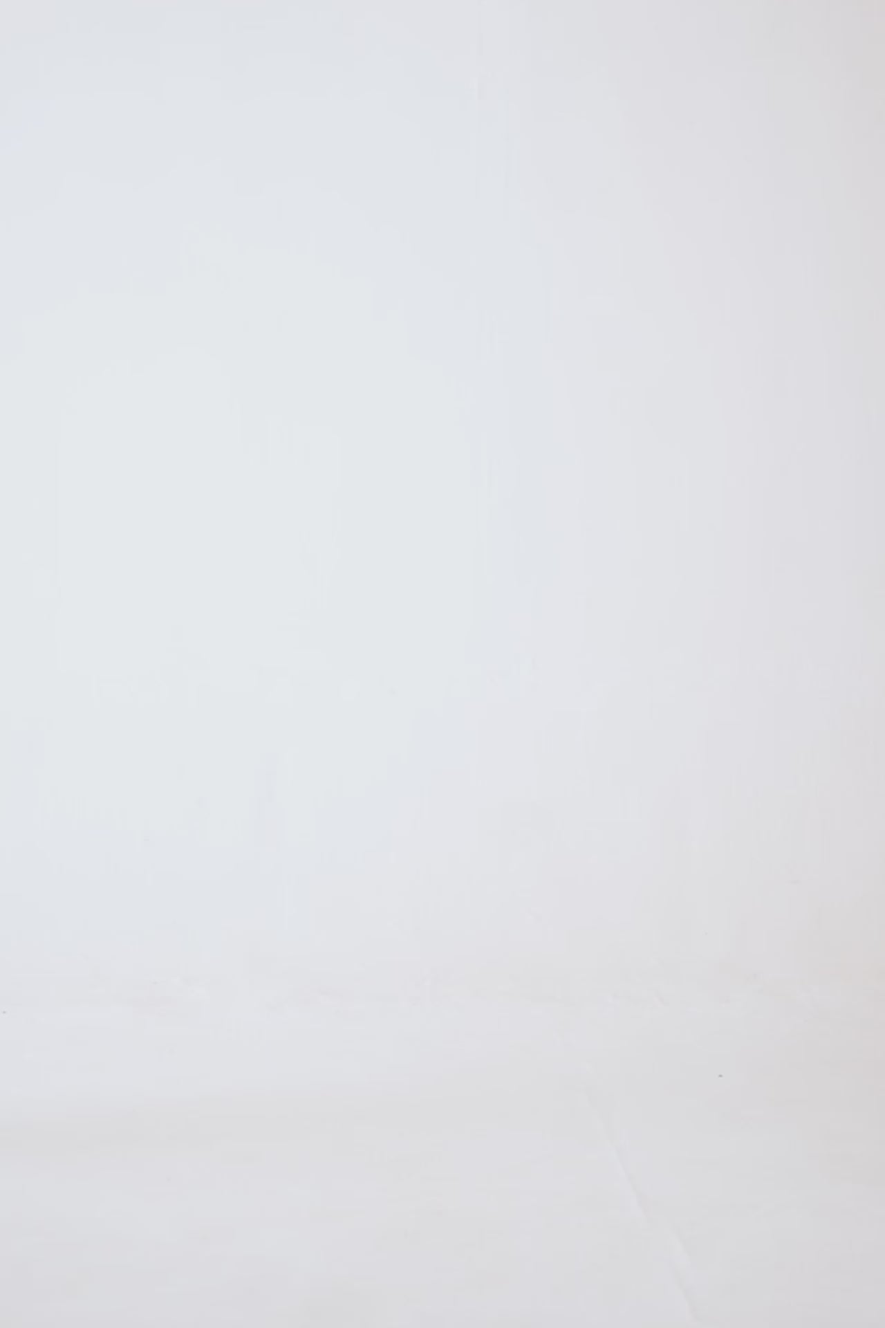 Textured Shorts - Cougar Clothing