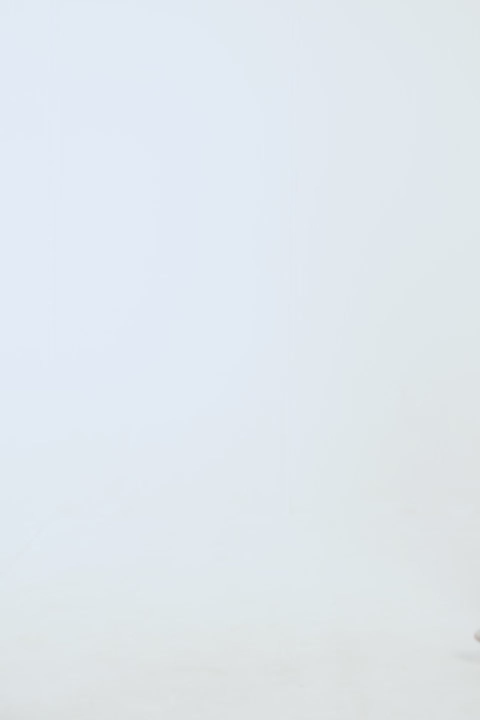 Quilted Mock Neck Jacket - Cougar Clothing