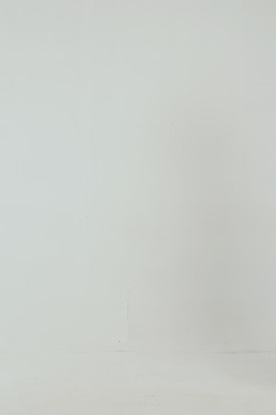 Basic Terry Sweatshirt - Cougar Clothing