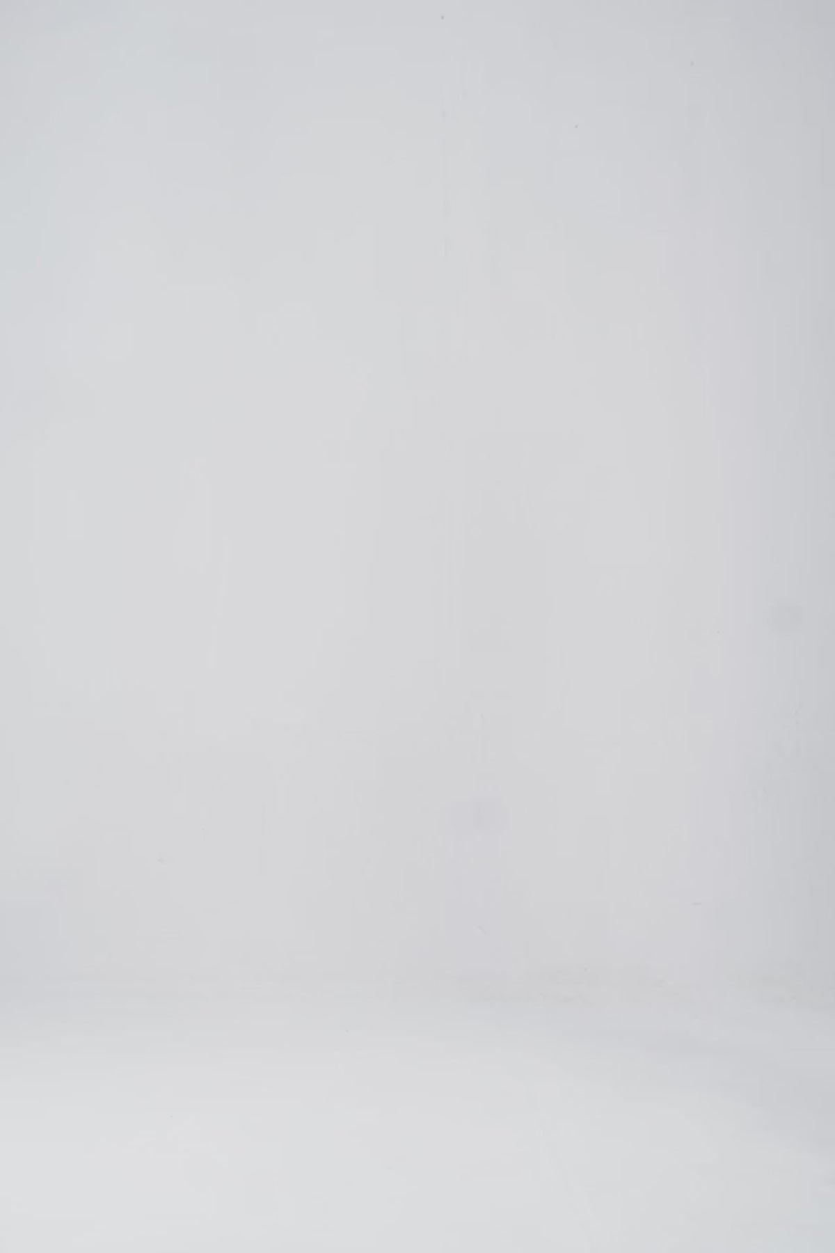 Sheer Shirt With Embroidered Pocket - Cougar Clothing