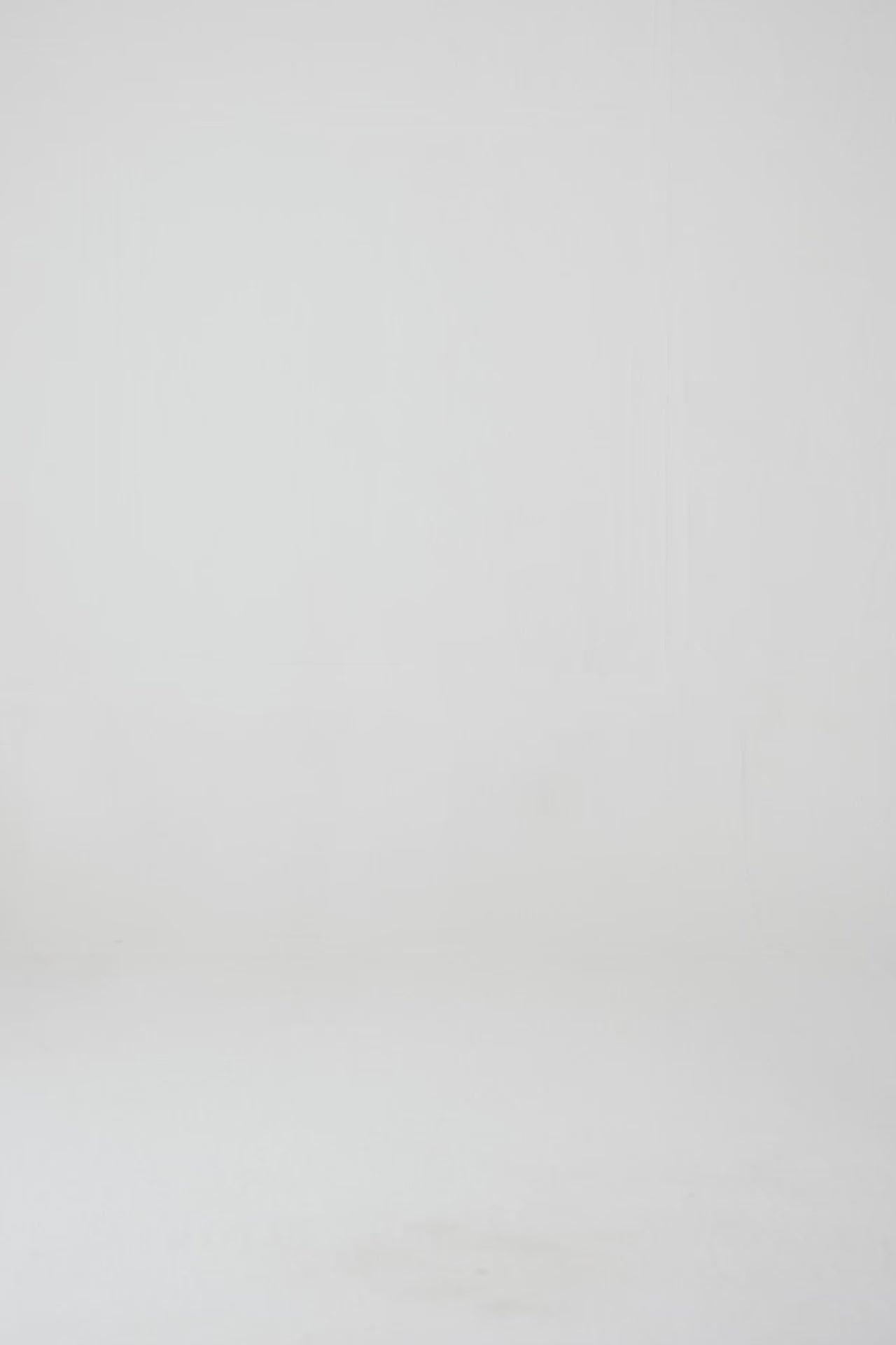 Cotton Shorts - Cougar Clothing