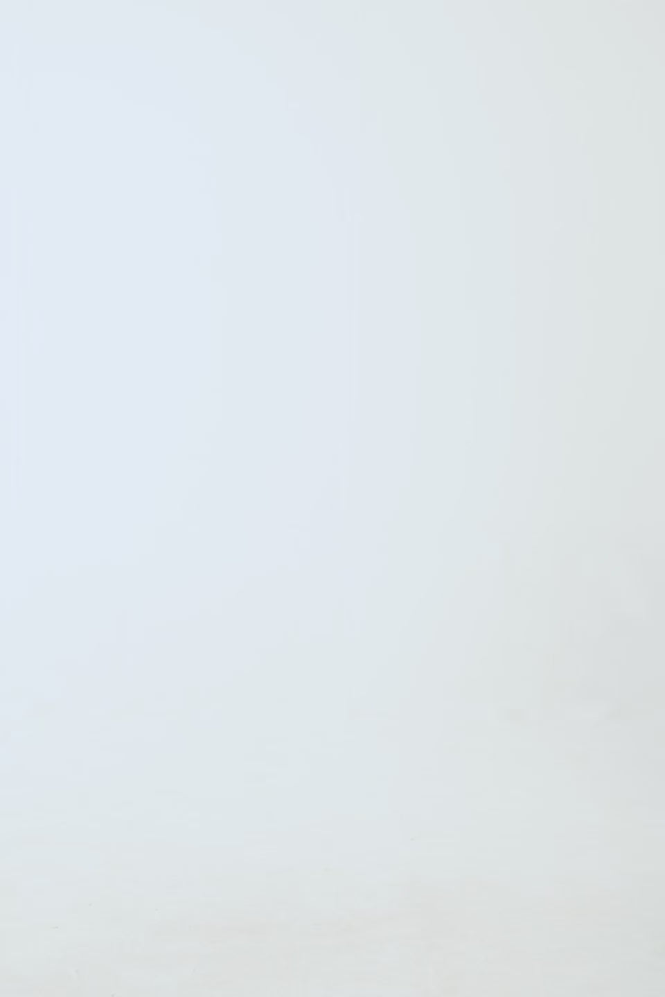 Basic Relaxed Hoodie - Cougar Clothing