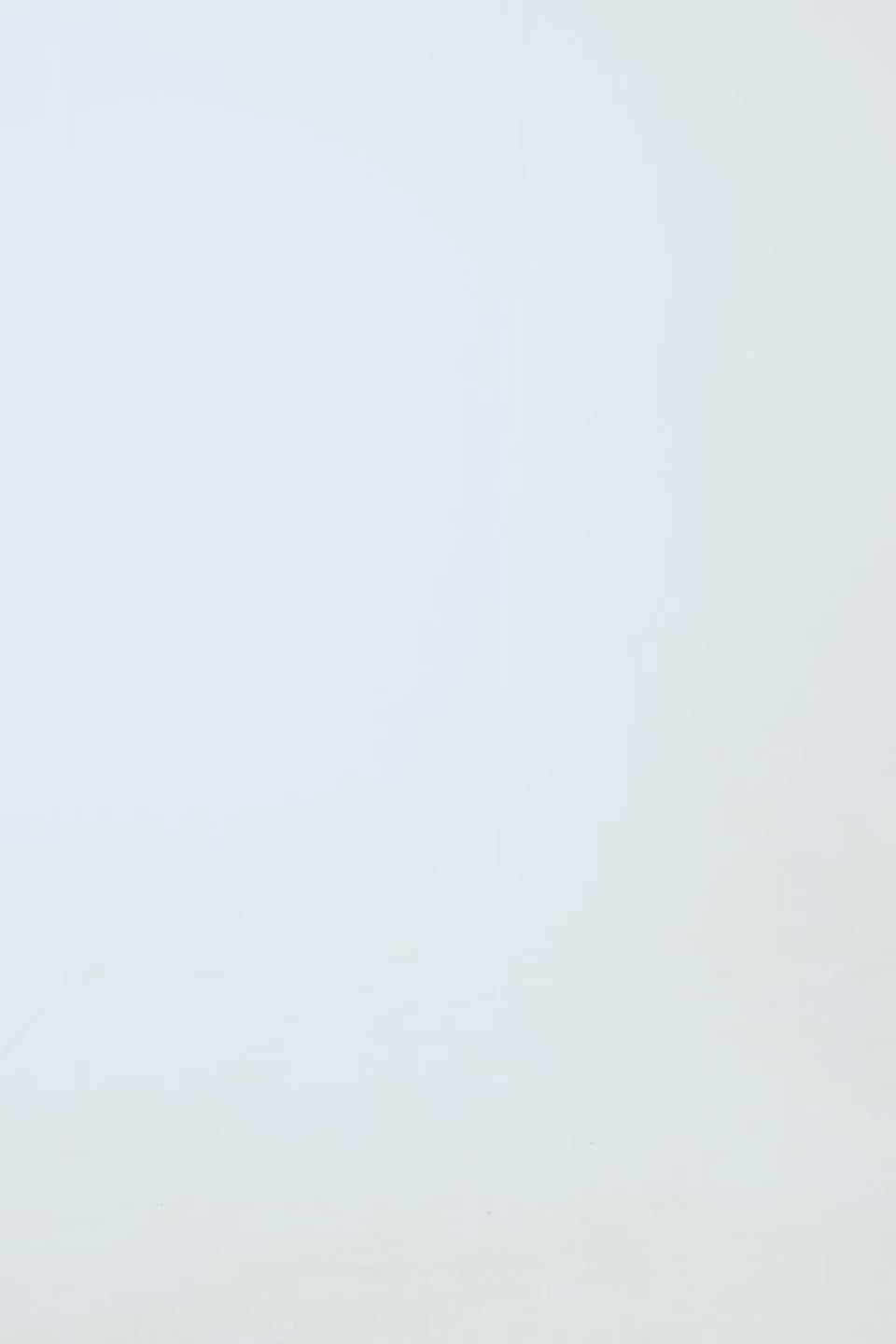 Turn-Down Collar Jacket - Cougar Clothing