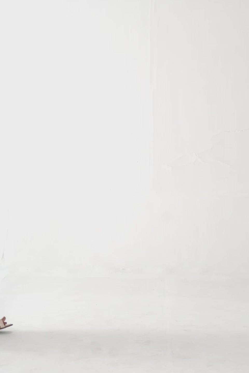 Embroidered Balloon Sleeve Blouse - Cougar Clothing