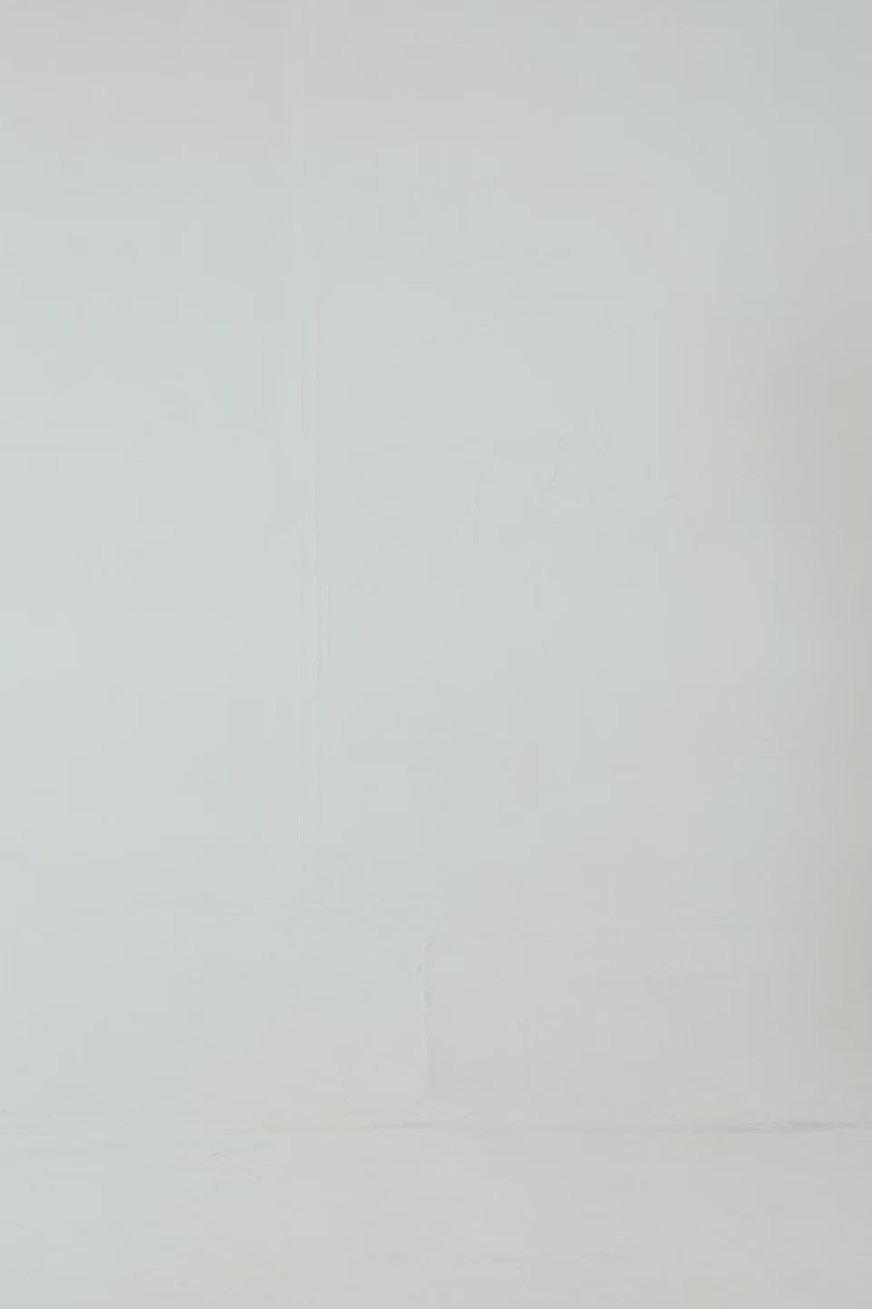 Raglan Fleece Sweatshirt - Cougar Clothing