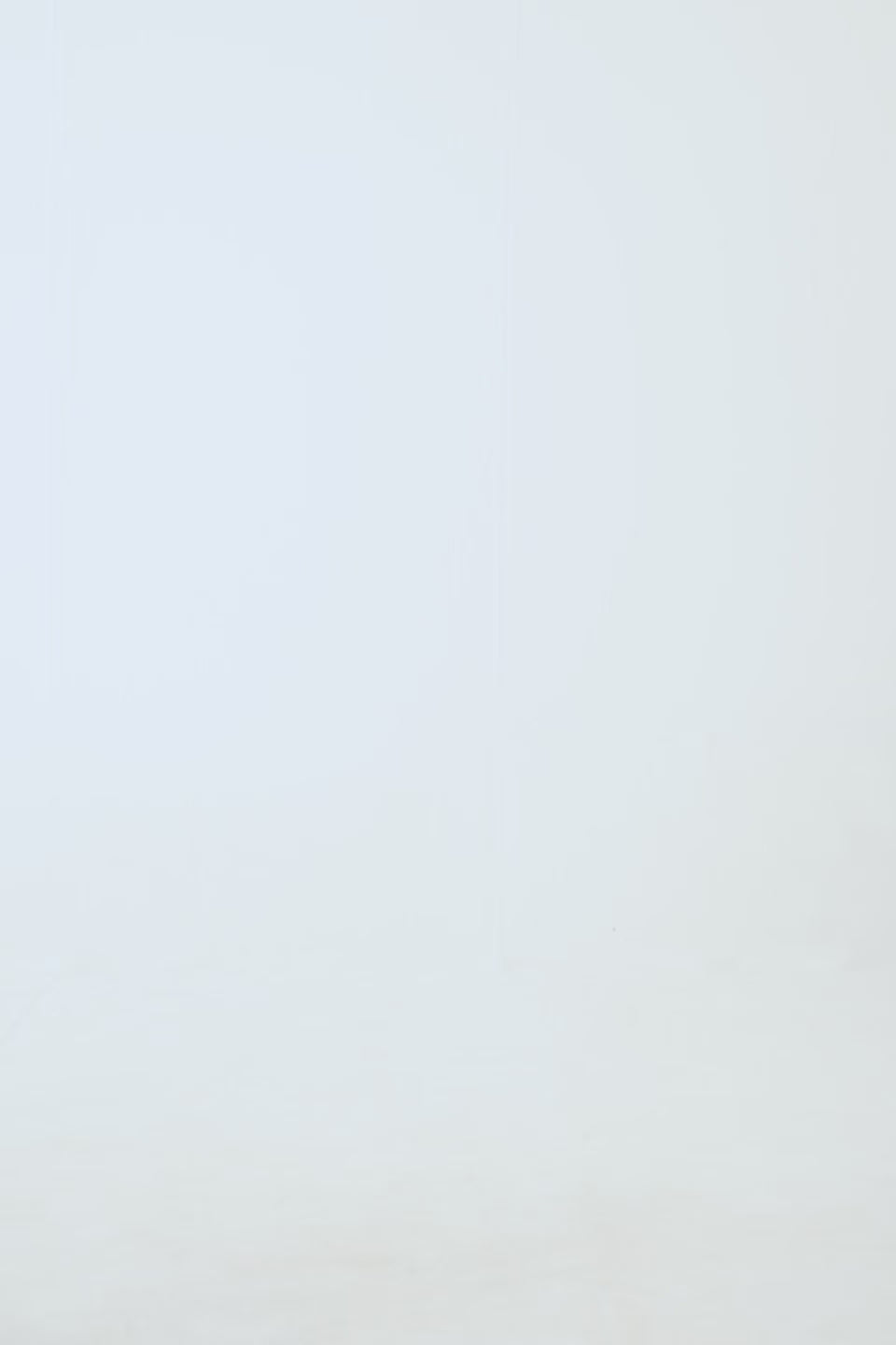 Brushed-Inside Hoodie - Cougar Clothing