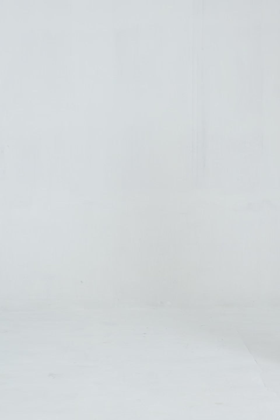 Dino Adventure Sweatshirt - Cougar Clothing