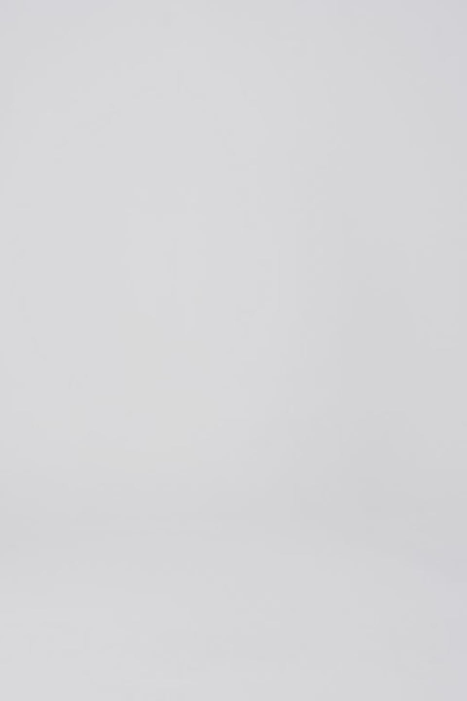 Basic Cotton Shirt - Cougar Clothing